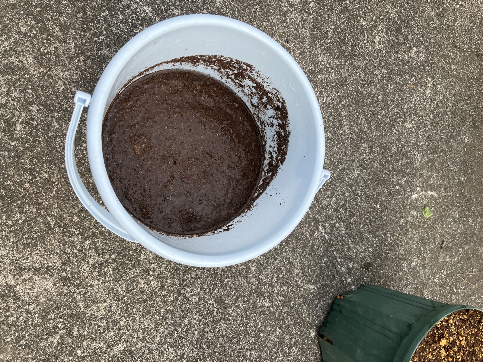 バケツにピートモスと水を入れて、よく吸水させる。乾いたままだと水を弾くので必ずこの工程を