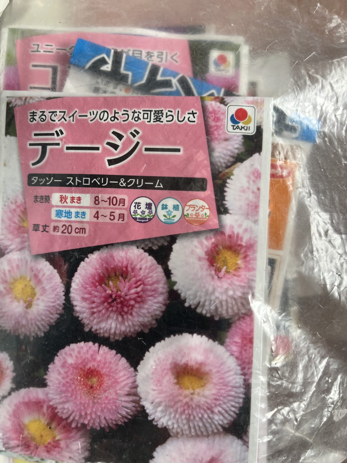 余ったデージーの種袋をジップロックへ入れたところ