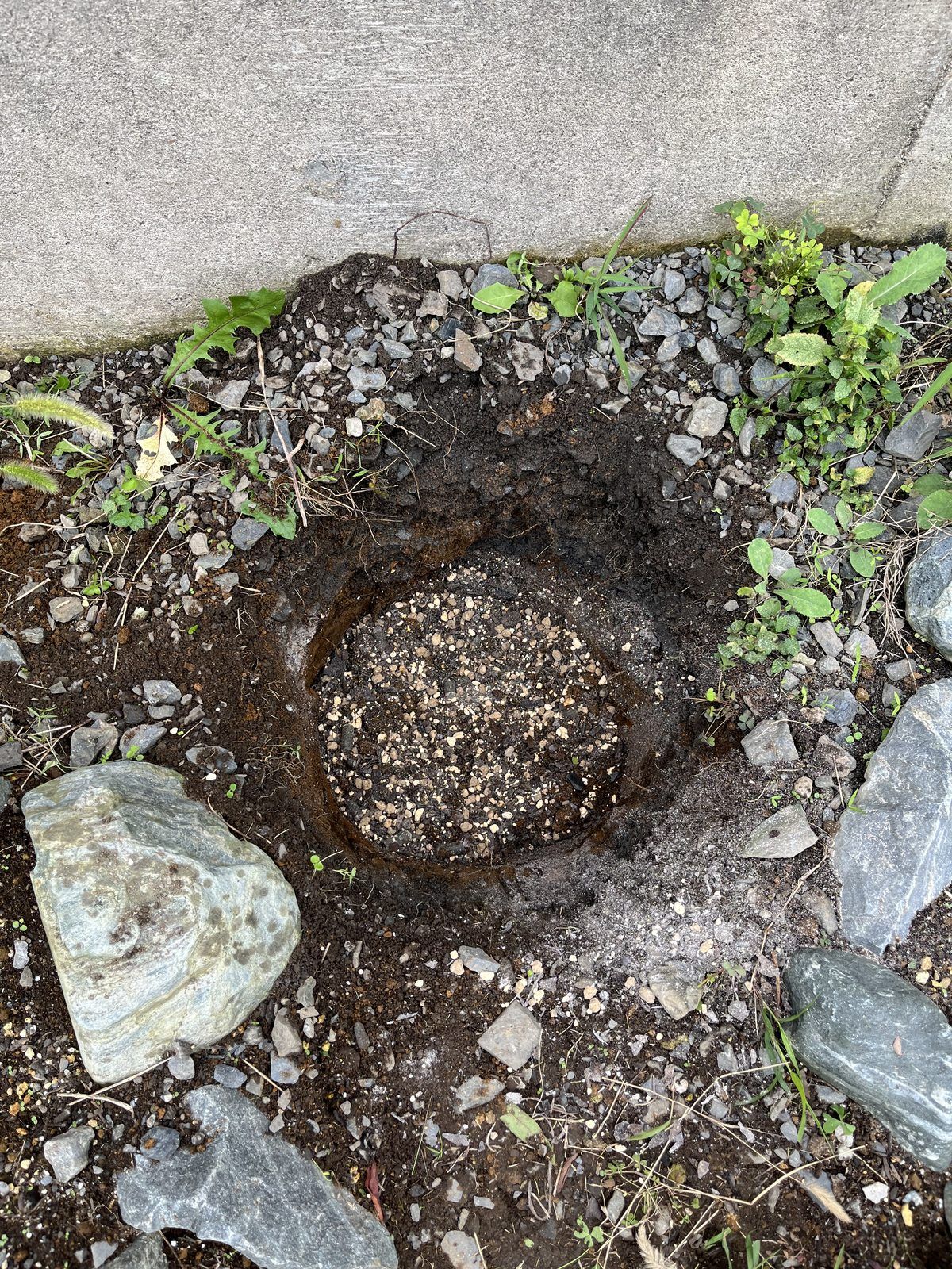 植え穴の底に腐葉土・鹿沼土・赤玉土を入れたところ。黒い土に黄白色の粒が混ざっている
