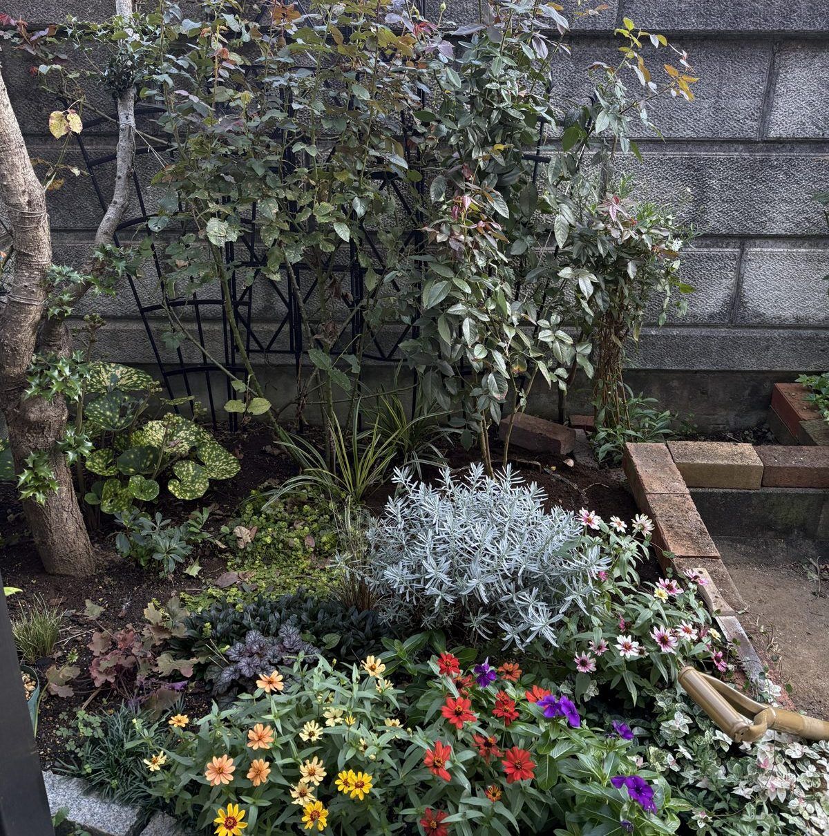 バラを植え付けたあとのブロック塀沿いの花壇
