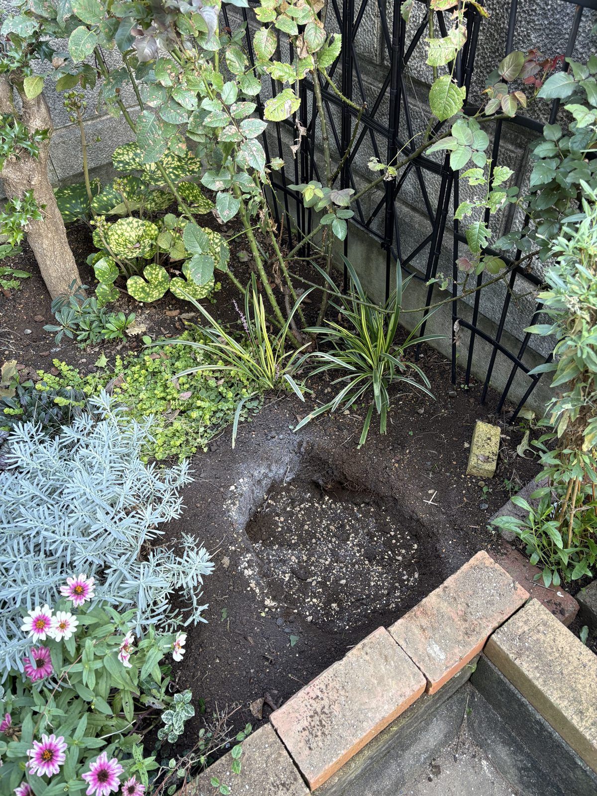 植え穴に資材を入れて土を混ぜているところ